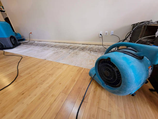 Professional Structural Drying technician working in Lexington, SC
